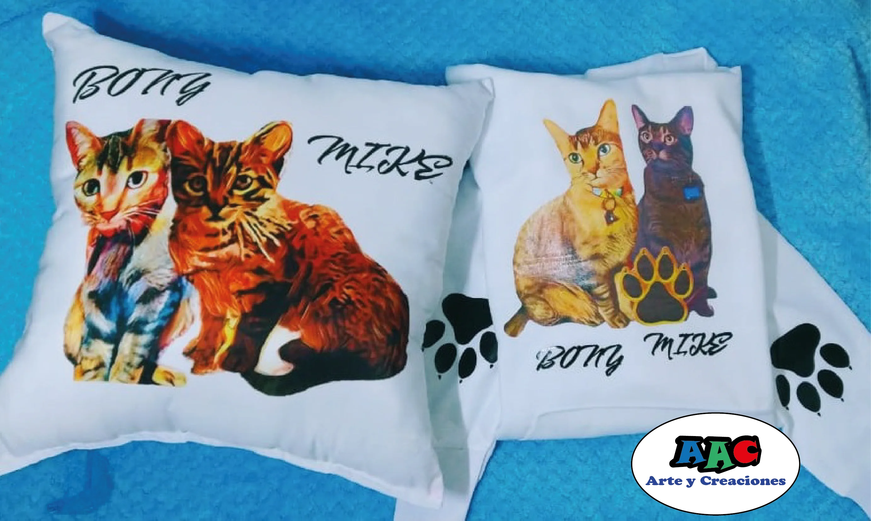 Cojín personalizado y buzo personalizado gatos